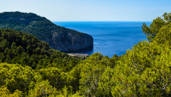 cala-granadella-vs-cala-portitxol